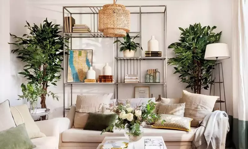 Transforma tu Salón en un Oasis Verde: Guía Definitiva para Decorar con Plantas