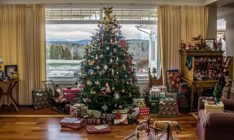 La Verdad Detrás de los Árboles de Navidad Naturales: Un Análisis Sostenible