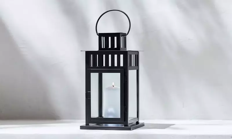 Guía Completa para el Cultivo y Cuidado de la Campanilla de los Cárpatos