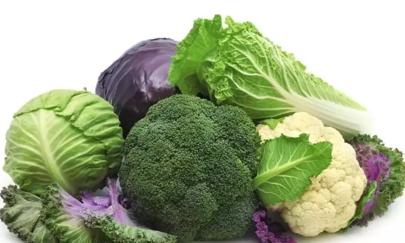 La Berza: Una Verdura Versátil y Nutritiva para tu Huerto y Cocina