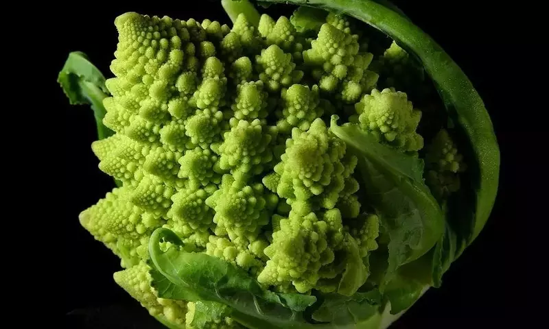Romanesco: La Fascinante Hortaliza de Geometría Fractal