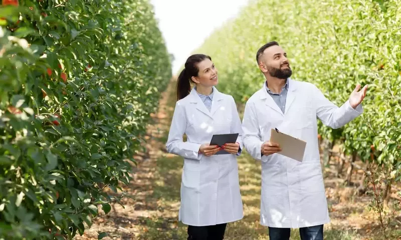 Guía Integral para la Nutrición Ecológica de tu Huerto