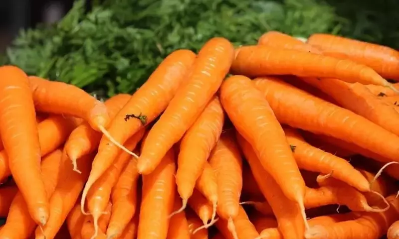 Los Sorprendentes Beneficios de la Zanahoria: Más Allá de su Vibrante Color