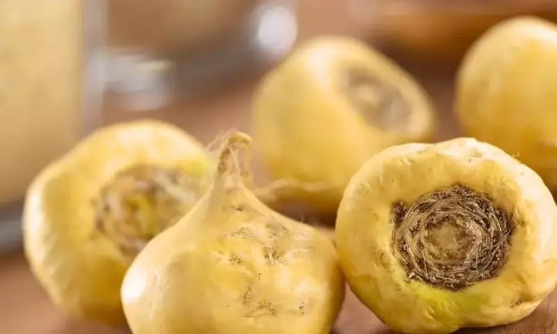 Maca: El Tesoro Nutricional de los Andes Peruanos
