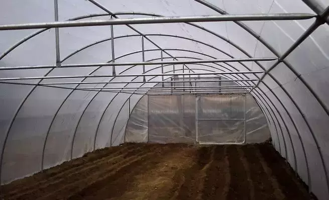 Guía Completa para el Mantenimiento Integral de Invernaderos