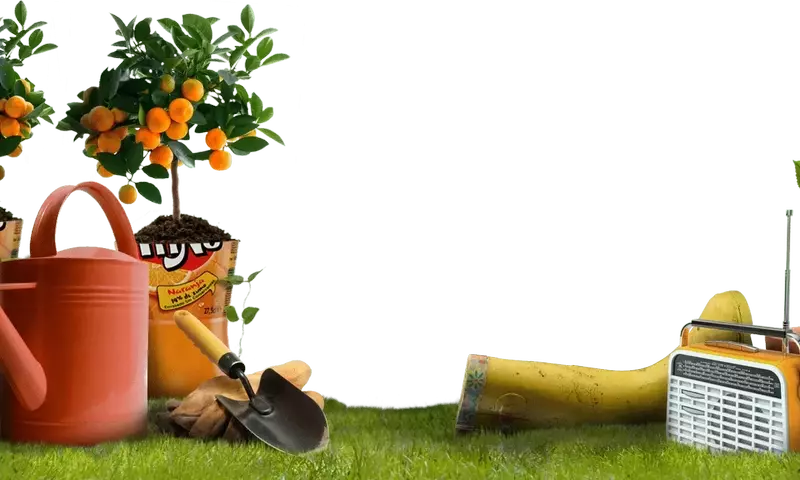 Guía Completa para el Cultivo de Frutas y Hortalizas en Macetas