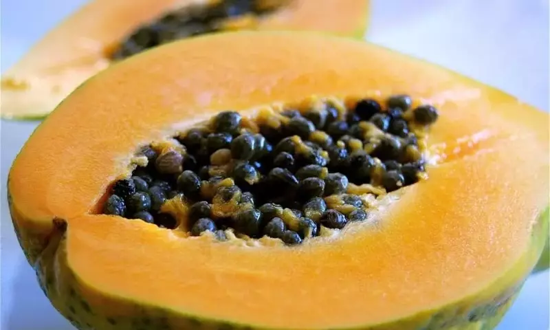 Guía Completa para el Cultivo Exitoso de la Papaya