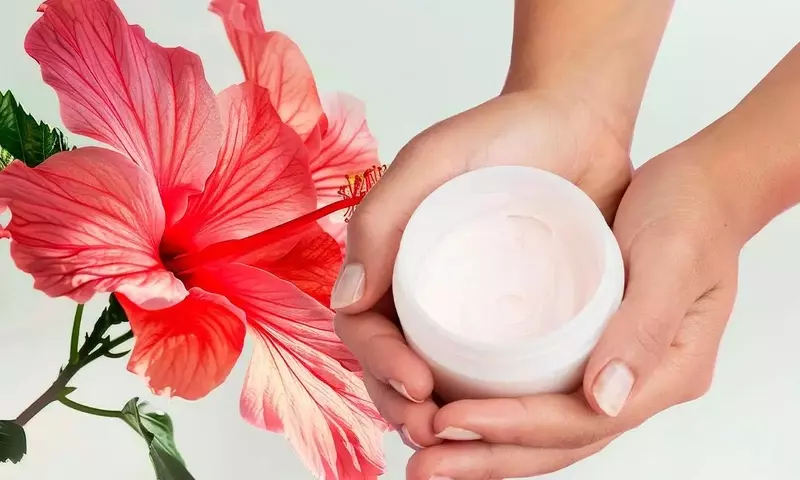 Descubriendo la Flor de Hibisco: Belleza, Salud y Usos Culinarios