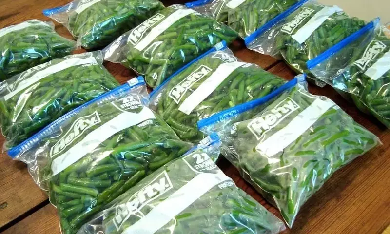 Guía Definitiva para Congelar Judías Verdes y Preservar su Frescura