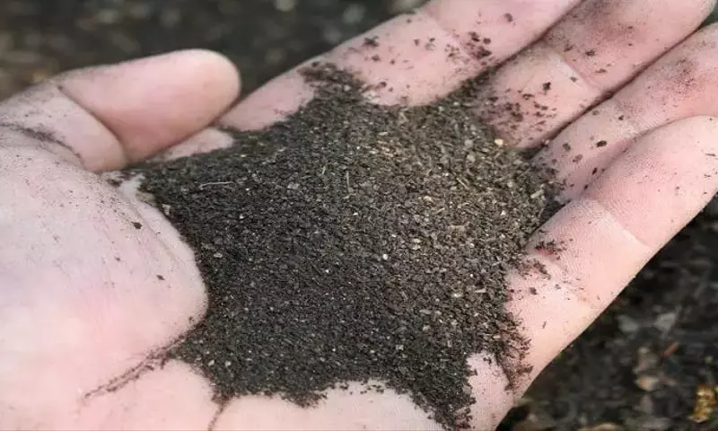 Creación de Humus Casero para un Jardín Fértil