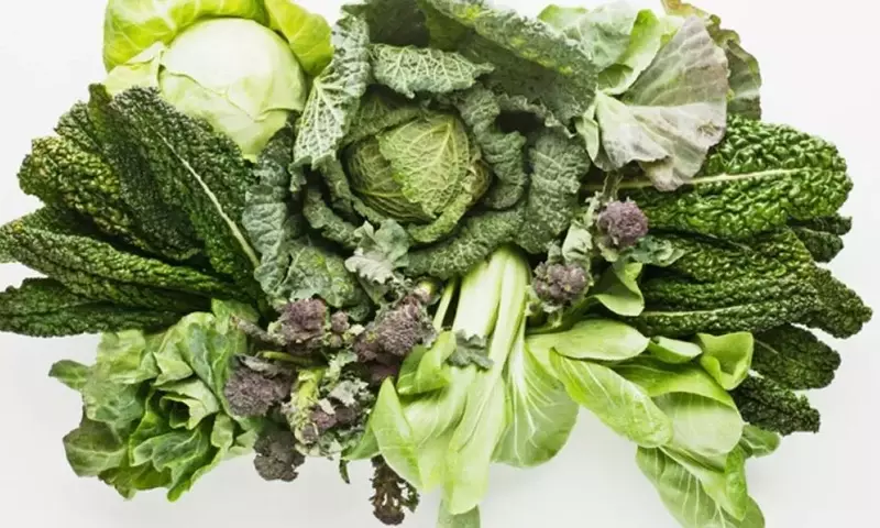 Descubriendo el Poder de las Verduras de Hoja Verde: Nutrición Esencial para una Vida Saludable