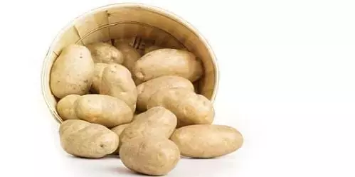 Cultivo de Patatas en Contenedores: Una Guía Completa para el Hogar