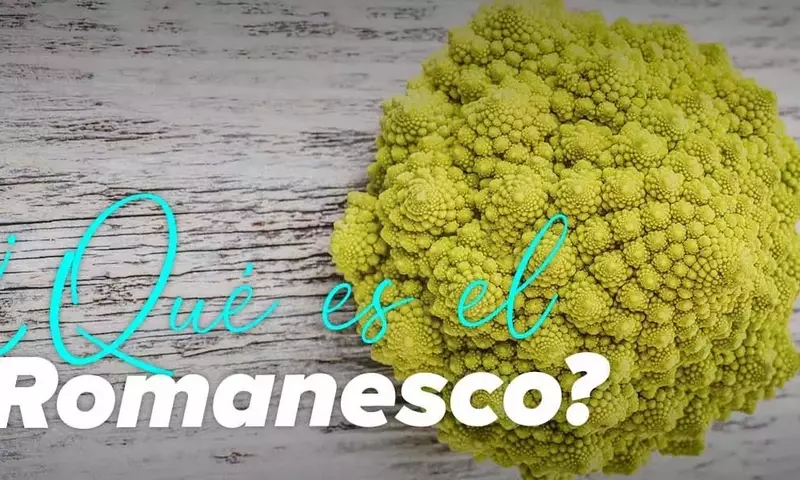 Cultivo y Beneficios de la Lechuga Romanesco: Una Guía Completa