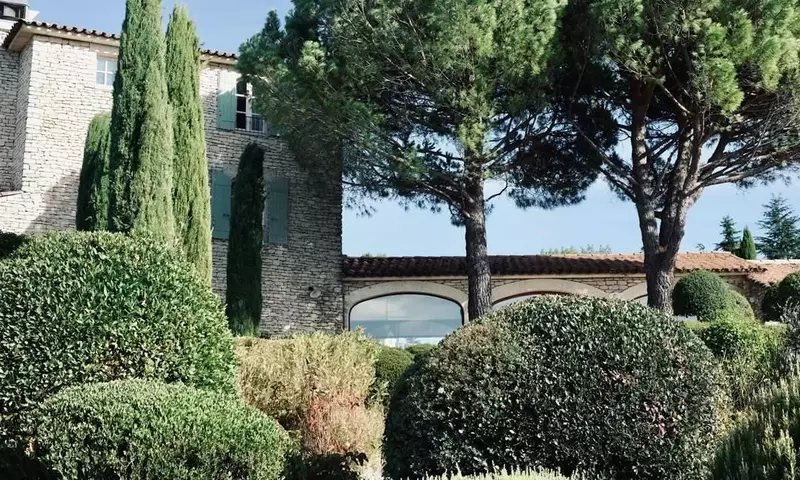 Boj: El Árbol Ornamental Resistente con Historia y Versatilidad