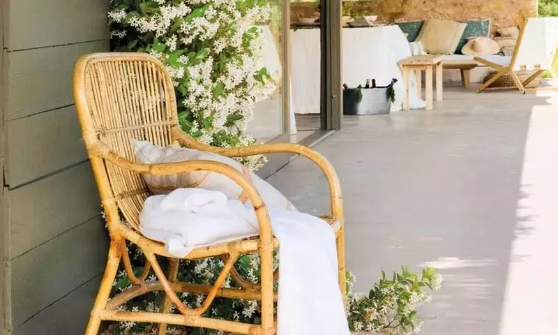 Diseño de Jardines: La Elegancia Atemporal de las Flores Blancas