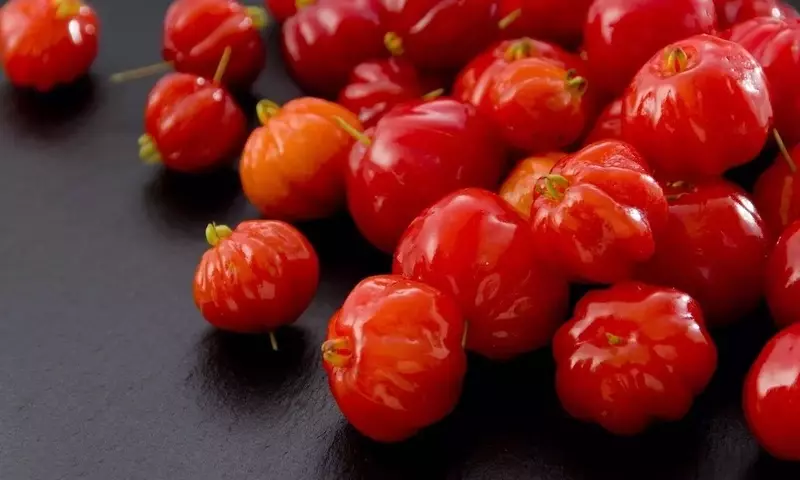 Descubriendo la Pitanga: Un Tesoro Botánico del Sur de América