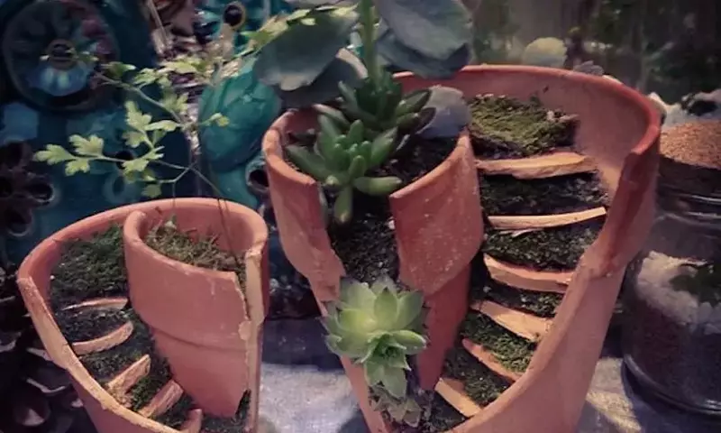 Transforma Macetas Rotas en Jardines de Hadas Encantadores