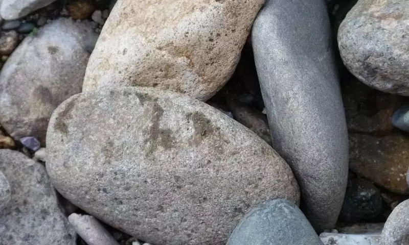 Ideas Creativas para Integrar Piedras en el Diseño de tu Jardín