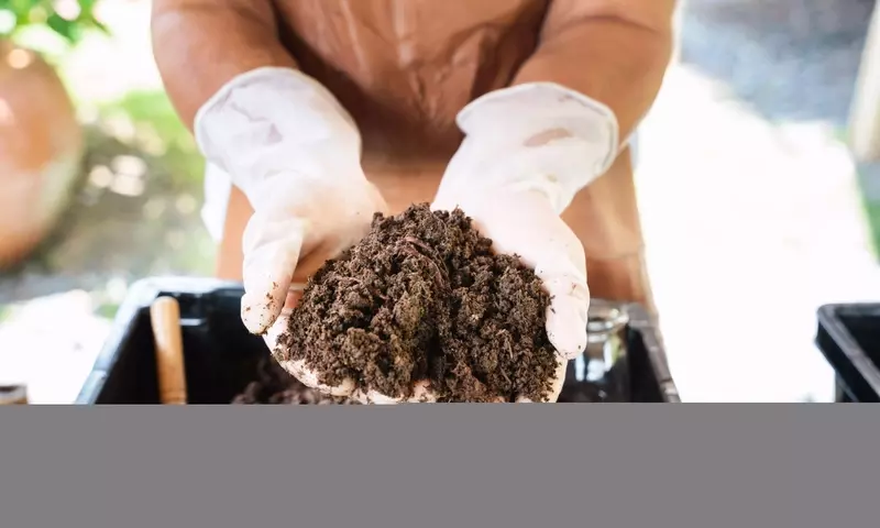 Humus de Lombriz: El Fertilizante Orgánico por Excelencia para una Agricultura Sostenible