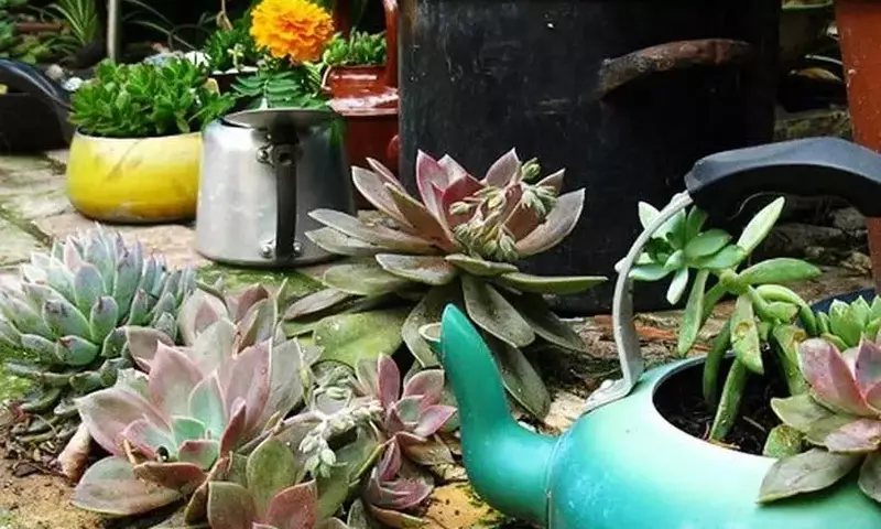 Transforma Tu Hogar: Macetas Originales con Objetos Reciclados
