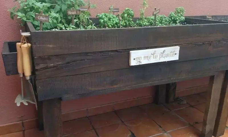 Crea Tu Propio Huerto Urbano Ecológico con Palets Reciclados