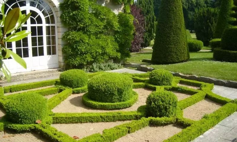 La Majestuosidad y Evolución del Jardín Francés: Un Legado de Orden y Belleza