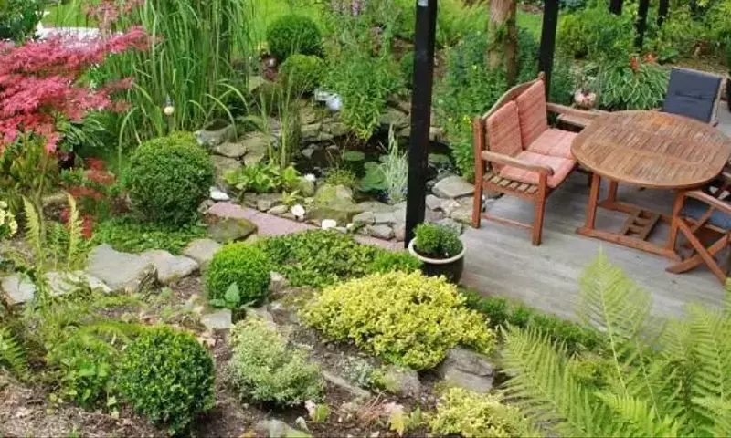 Secretos para un Jardín Resiliente: Cultivo en Climas Áridos