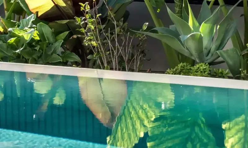 Diseño de Jardines con Piscina: Integración de Estética y Funcionalidad