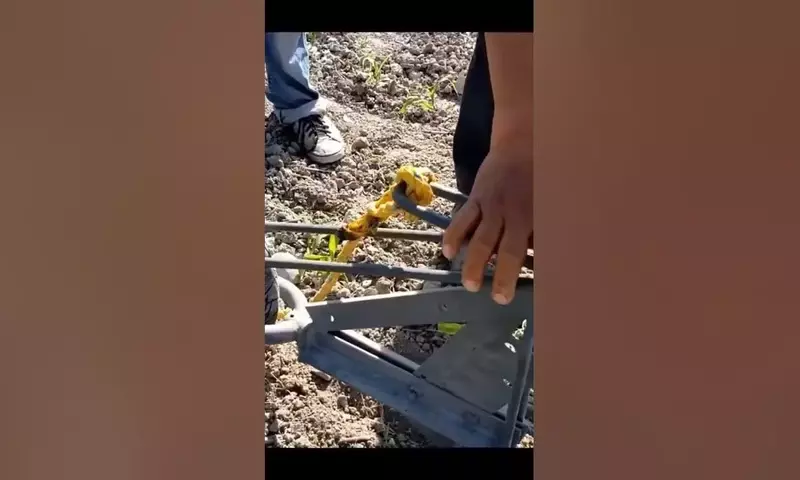 Innovación Rural: Soluciones Prácticas y Ecológicas para el Campo