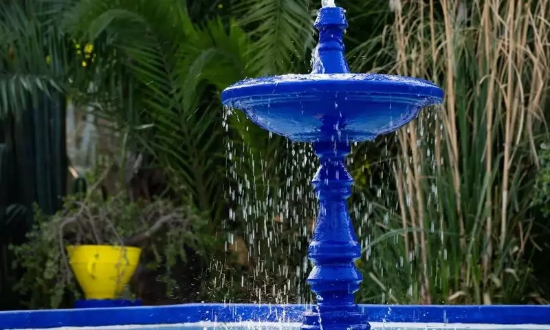 Majorelle: Oasis de Color y Tranquilidad en Marrakech