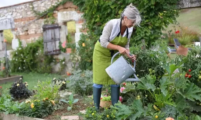 La Jardinería Ecológica: Un Santuario para la Biodiversidad y el Bienestar Humano