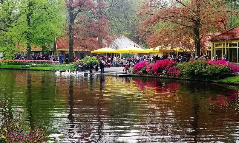 Keukenhof: El Espectáculo Floral Más Impresionante de Europa
