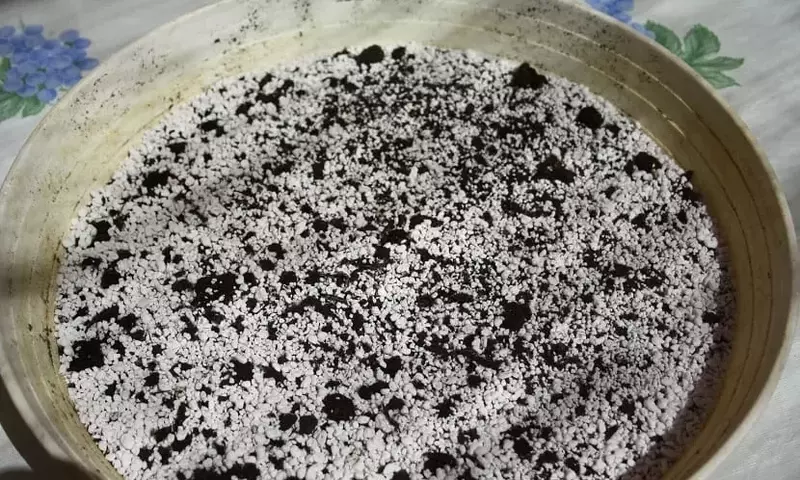 Perlita y Vermiculita: Elementos Clave para un Cultivo Exitoso