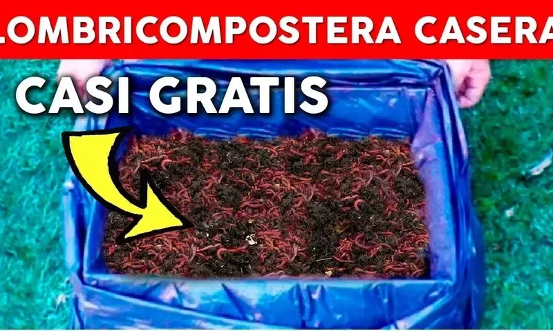 Creando un Vermicompostador Casero: Transformando Residuos en Fertilizante Ecológico