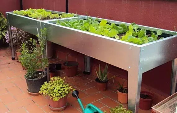 Cultivo en Mesas Elevadas: Una Solución Versátil para Tu Huerto Urbano