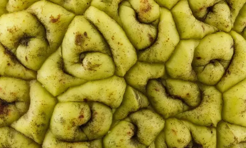 Descubriendo Frutas Exóticas: Un Viaje Sensorial por el Mundo Vegetal