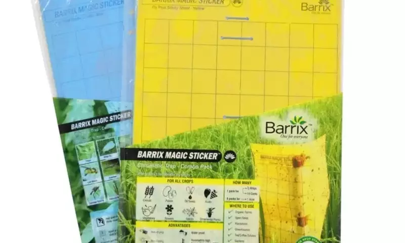Control de Plagas en Plantas: La Eficacia de las Trampas Cromáticas
