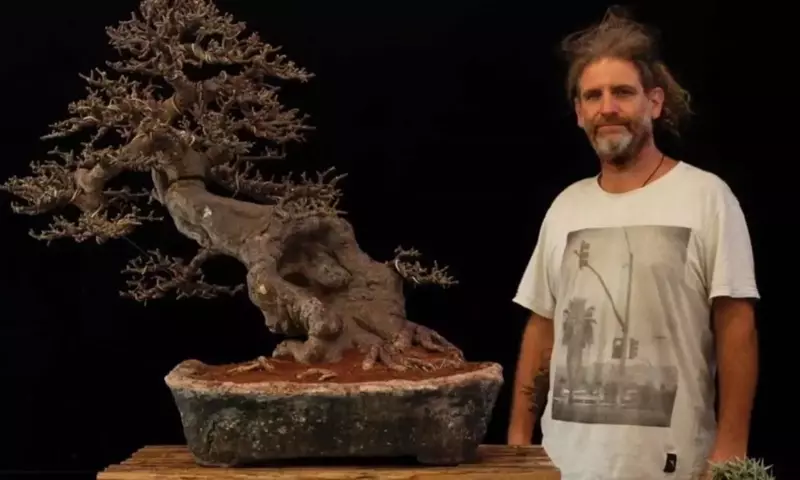 Festival Aniversario de Bonsái en Trevelin: Un Encuentro con el Arte y la Naturaleza