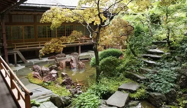 Diseño de Jardines Rocosos: Creando Belleza Natural con Plantas y Piedras