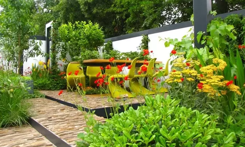 Desmintiendo Conceptos Erróneos Comunes en la Jardinería