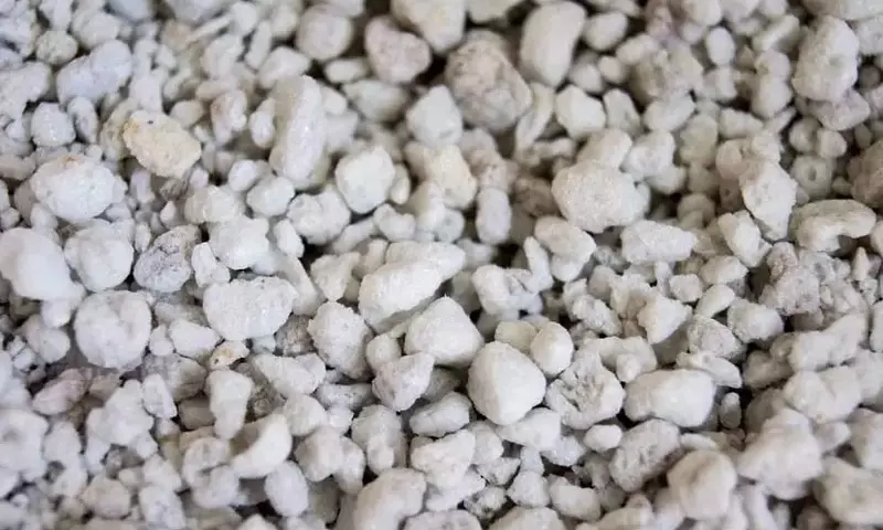Perlita: El Mineral Versátil que Transforma la Jardinería y la Construcción