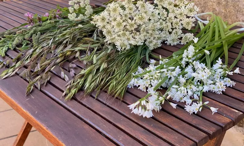 Creación de Ramos Florales: Guía Completa para Aficionados