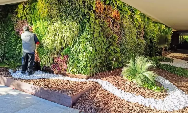 Guía Completa para un Jardín Saludable: Prevención y Manejo de Plagas y Enfermedades