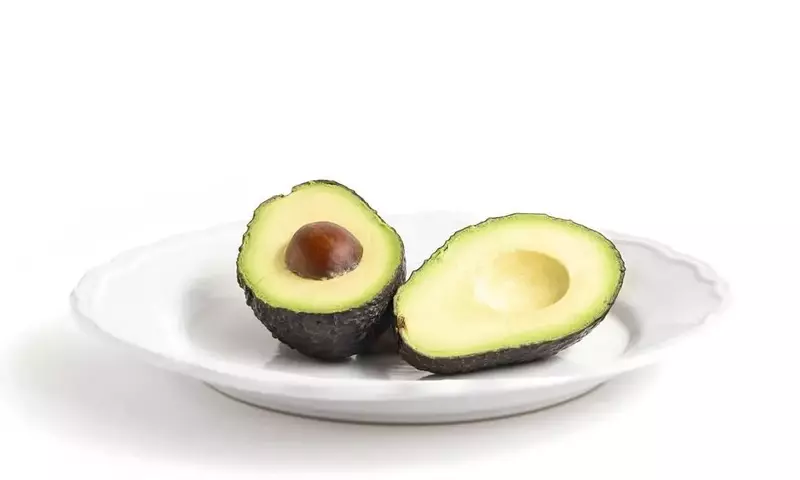Cultivo Exitoso del Aguacate: Guía Completa para Tu Jardín