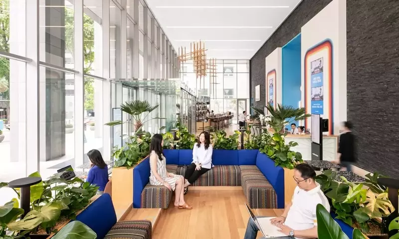 El Poder Verde en el Entorno Laboral: Plantas que Transforman Oficinas