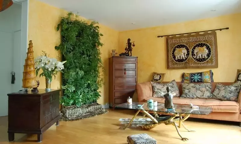 Plantas y Feng Shui: Armonizando el Hogar y Purificando el Aire