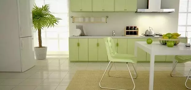 Armonía Natural: Integrando Plantas en Espacios Minimalistas