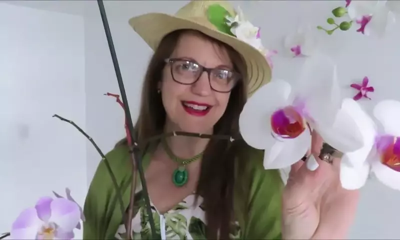 Descifrando el Misterio Floral: Por Qué Tus Flores No Se Abren y Cómo Solucionarlo