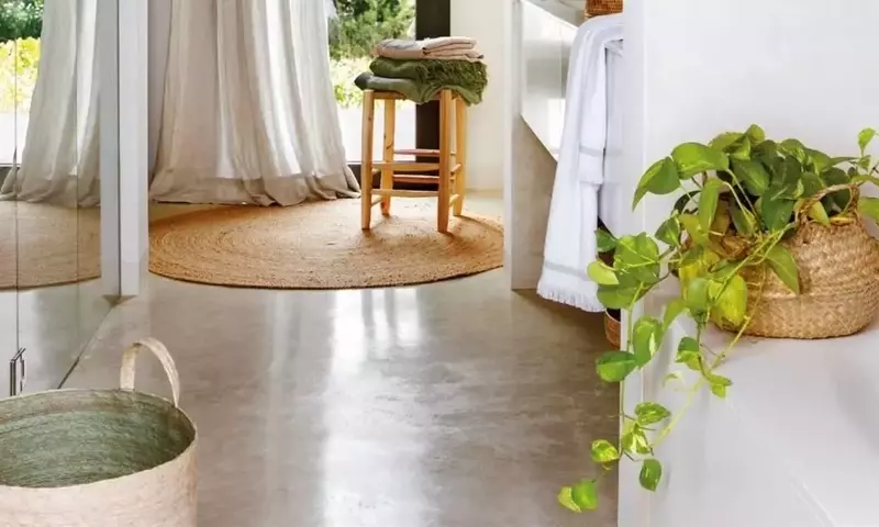 Epipremnum Aureum: La Guía Definitiva para el Cuidado de tu Poto en Interiores