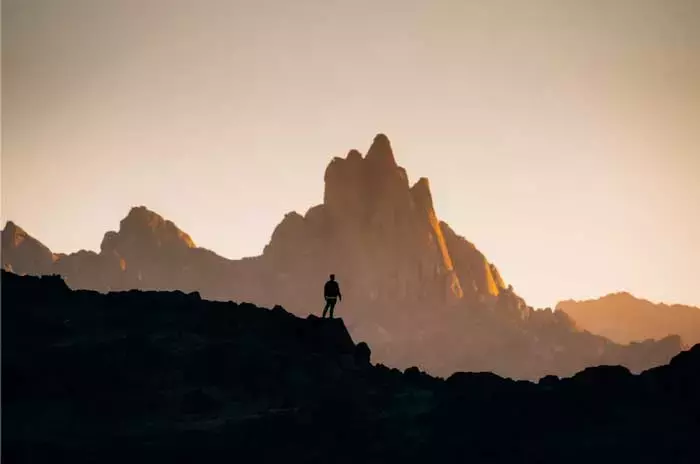 La Iniciativa Global "Nature's AI" Propone una Soluci￳n Integral para la Salud Mental y Ambiental